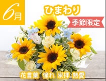 ひまわり